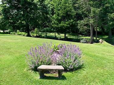 Garden Image Of Our 3 Boardwalk Cape Cod Holiday Rental