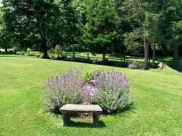 Garden Image Of Our 3 Boardwalk Cape Cod Holiday Rental